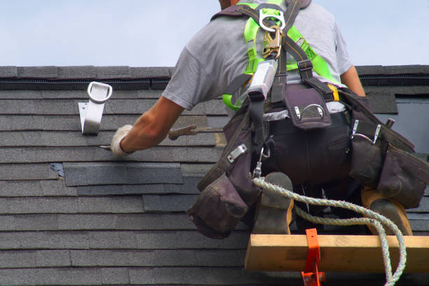 Best Roof Gutter Cleaning  in Kaaawa, HI